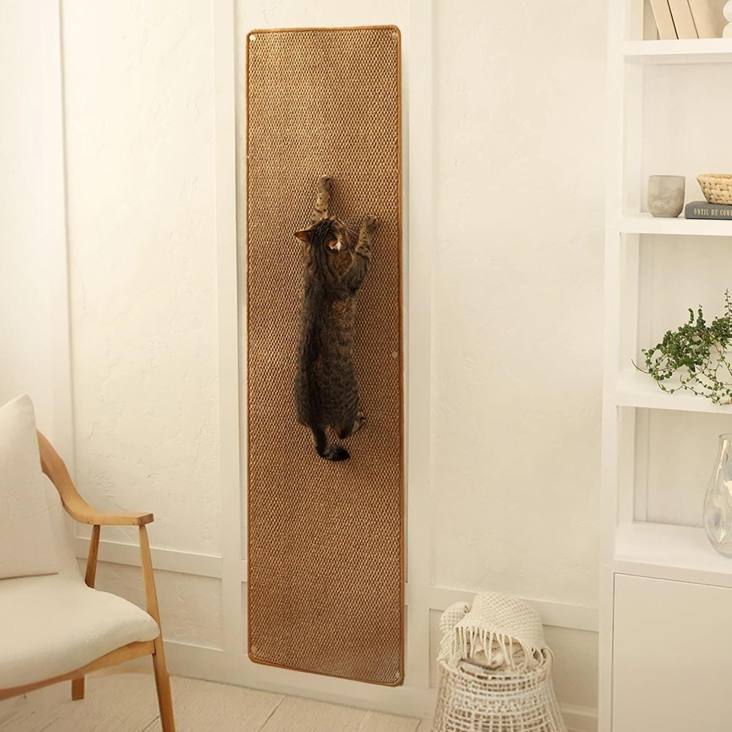 Official product photo of a wall-mounted cat climbing carpet scratcher